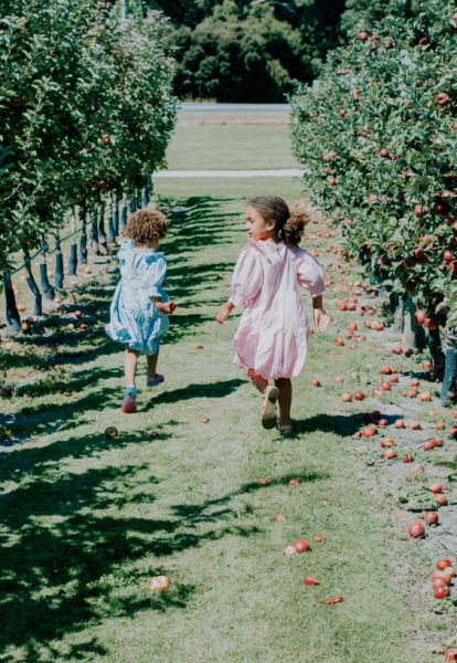 kids holding hands in apple orchard